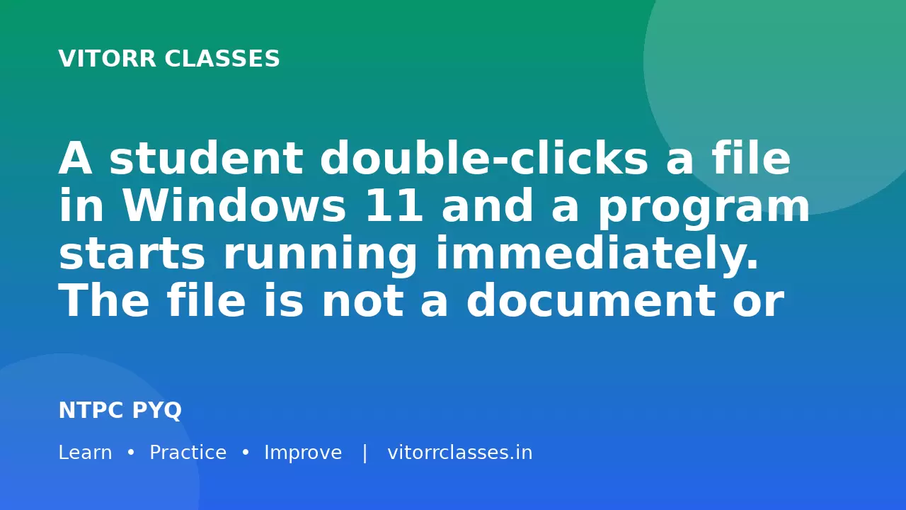 A student double-clicks a file in Windows 11 and a program starts running immediately. The file is not a document or image but directly launches software. Which file type is most likely being opened?