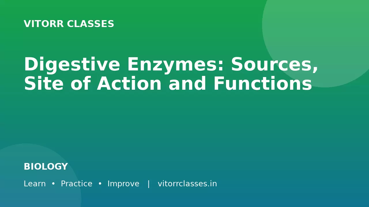 Digestive Enzymes: Sources, Site of Action and Functions | पाचक एंजाइम स्रोत क्रिया स्थल एवं कार्य