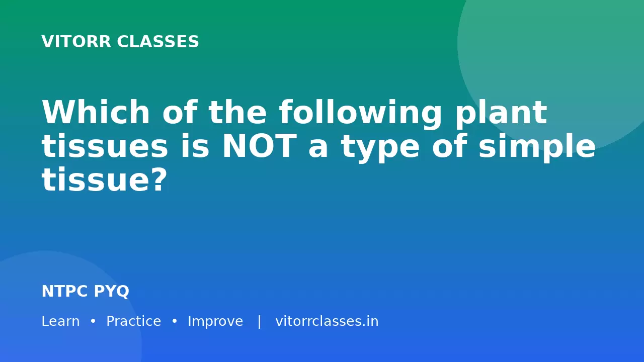 Which of the following plant tissues is NOT a type of simple tissue?